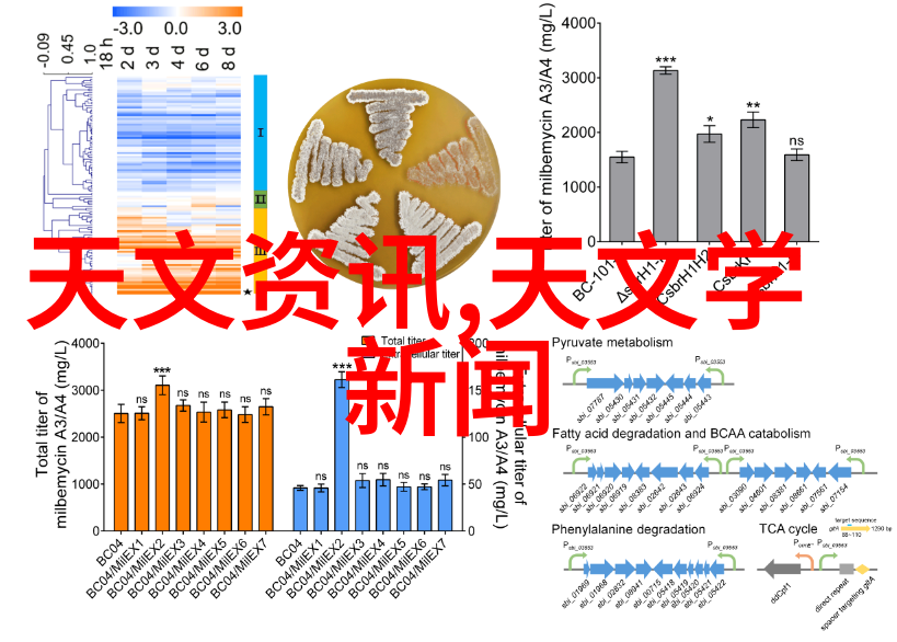 家居装修指南全程家装解决方案