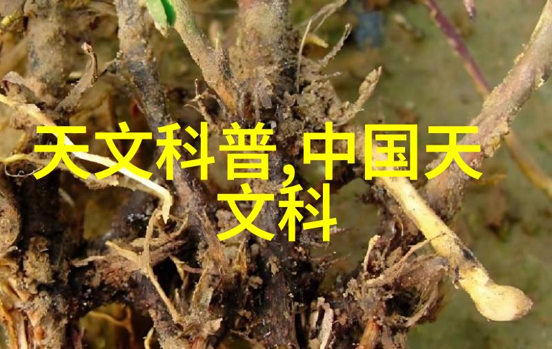 家用新风净化器维护小贴士延长使用寿命