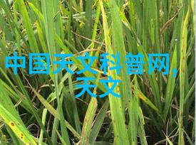 交通管理现代化智能摄像头和车载传感器在城市交通控制中的角色