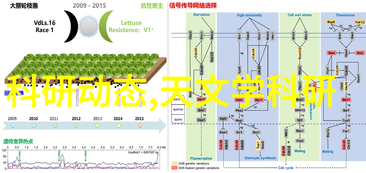 交通智能体的守护者自动驾驶仿真平台是否能比喻为无人车的盾牌