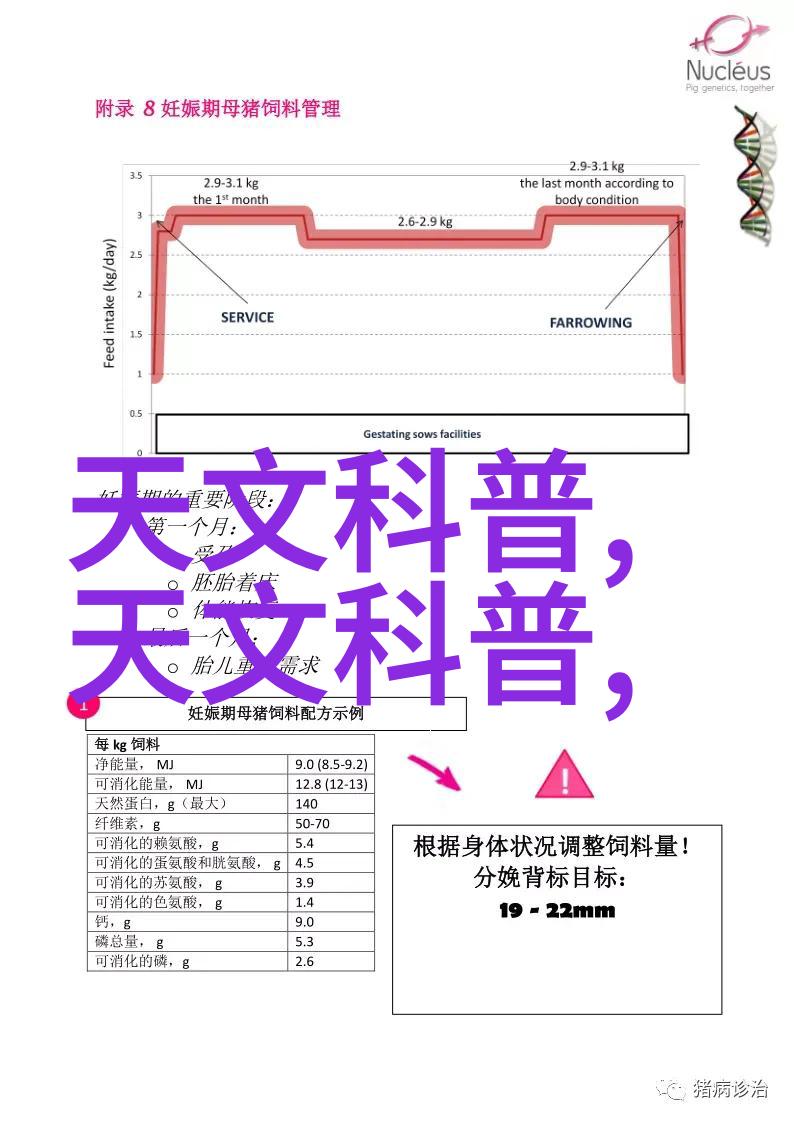 嵌入式系统设计嵌入式系统的基本设计原理