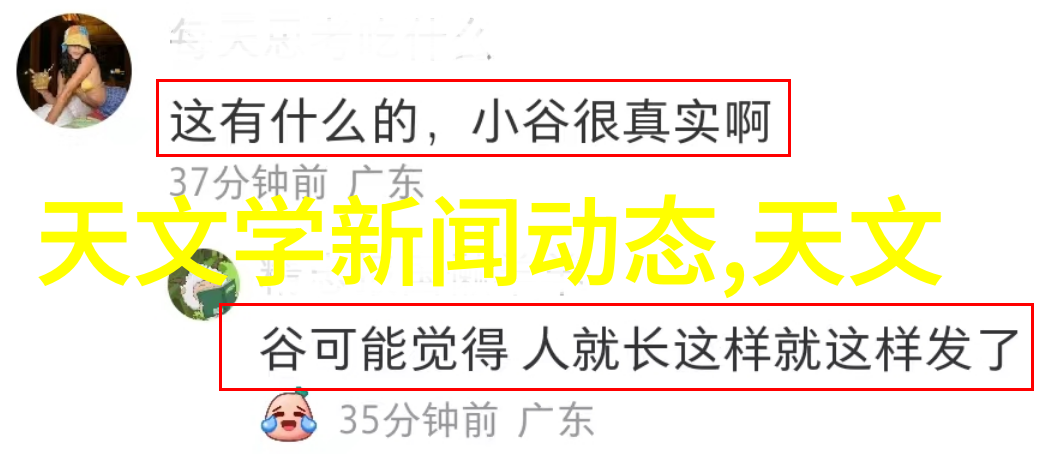 摄影艺术探究拍照技术的技巧与方法