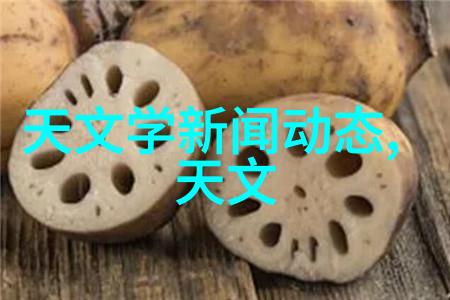 微波炉使用指南安全操作技巧与食物加热方法