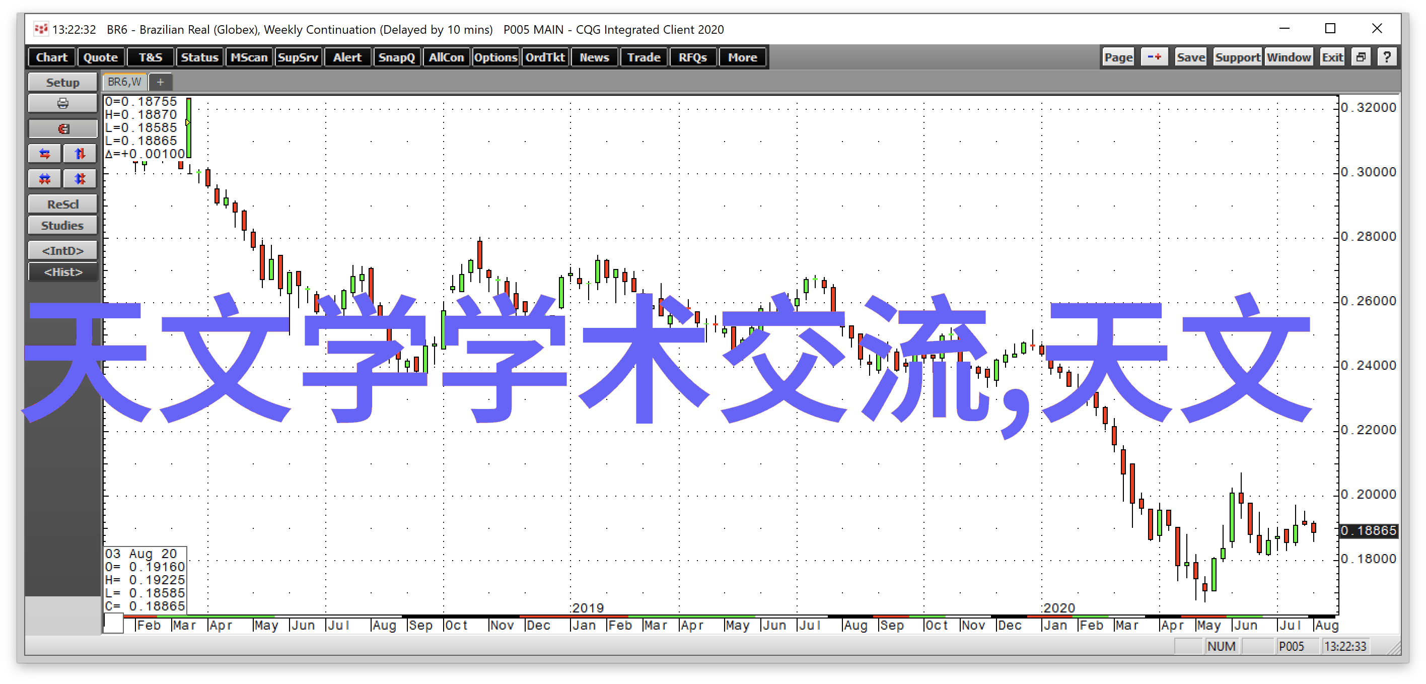 狗狗猫咪鸟儿它们是怎样成为你作品中的主角