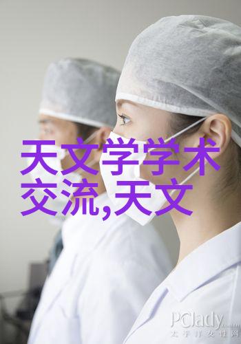 厨房小家电的智慧选择提升烹饪体验的必备利器