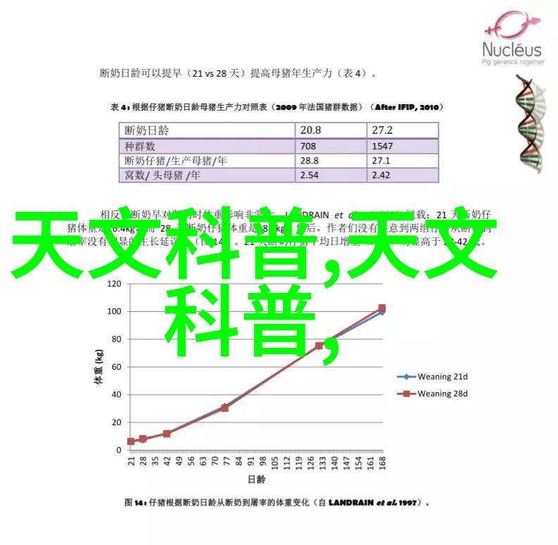 人像摄影教程 - 掌握光影从入门到精通的人像摄影技巧