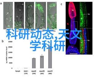 姬小满张嘴流眼泪图片高清看完这张图你我他都难以阻止泪水的流淌