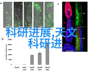 钢铁是怎样炼成的经典名句语句摘抄赏析