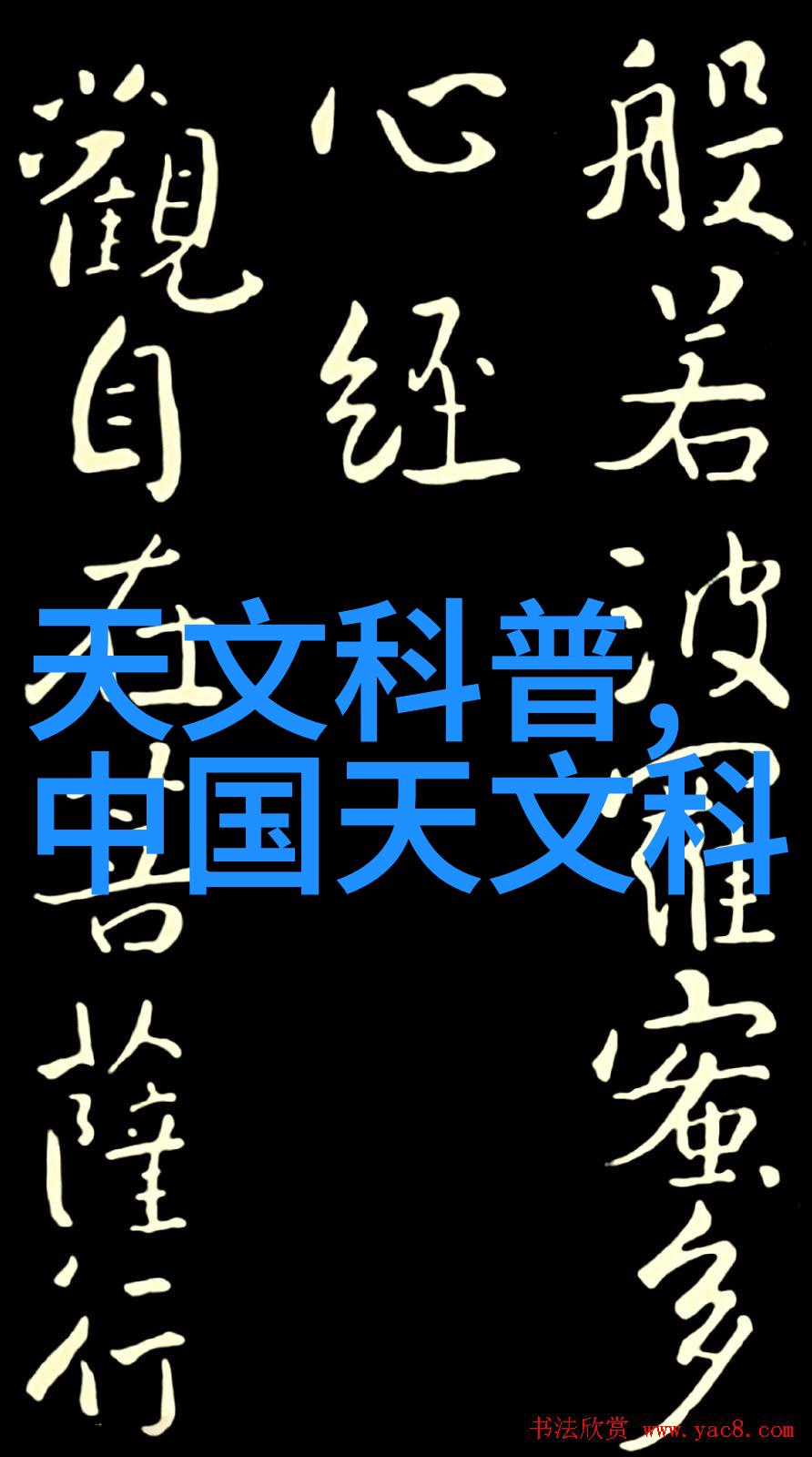 主题我是摄影家捕捉生活的瞬间