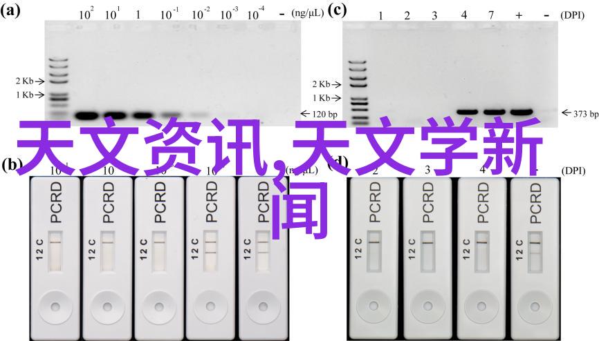 2021小户型装修流行风格反差艺术的温馨与现代对比