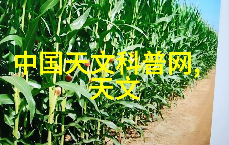 不锈钢反应釜厂家风采常年诚信回收二手化工食品制药设备戚墅堰区周边服务热线