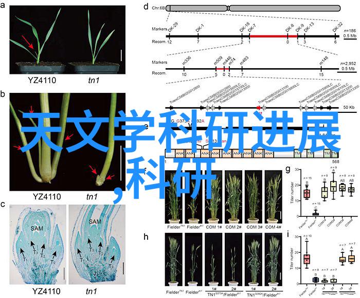 家庭健康监测系统通常包括了哪几种类型的传感器和监控器