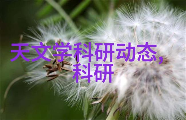 光影的对比测光技术的艺术与科学