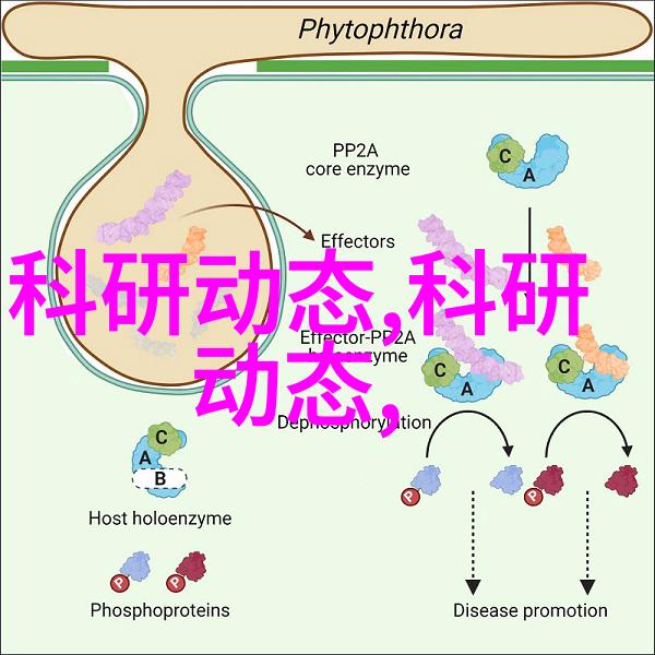 北京买摄影器材的地方我在哪儿找到了最棒的相机配件