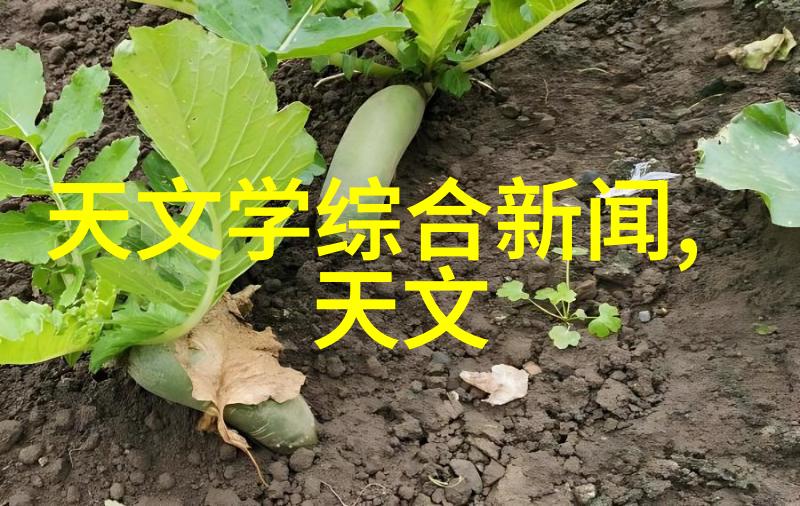 如何比较丝网填料和陶瓷填料的耐磨性