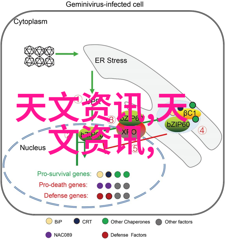 第一财经直播金融市场一线直播精准解读经济动态