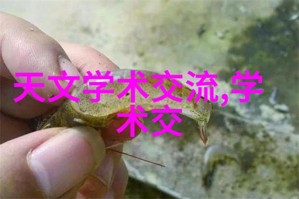 电机旋转智慧沈阳自动化所新技术闪耀全自动检测系统绕出高效进展