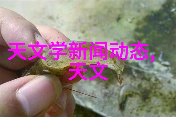 智能流线自动化输送设备革新物流效率的关键