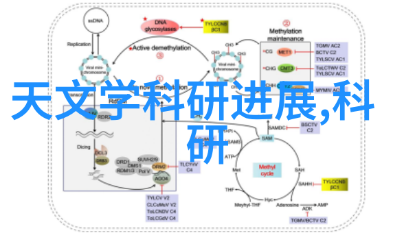 书房装修效果图激发灵感家庭预算调配需屋型定制