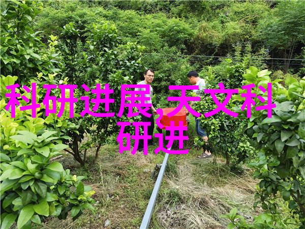 建筑防腐工程保护结构安全的坚实基础