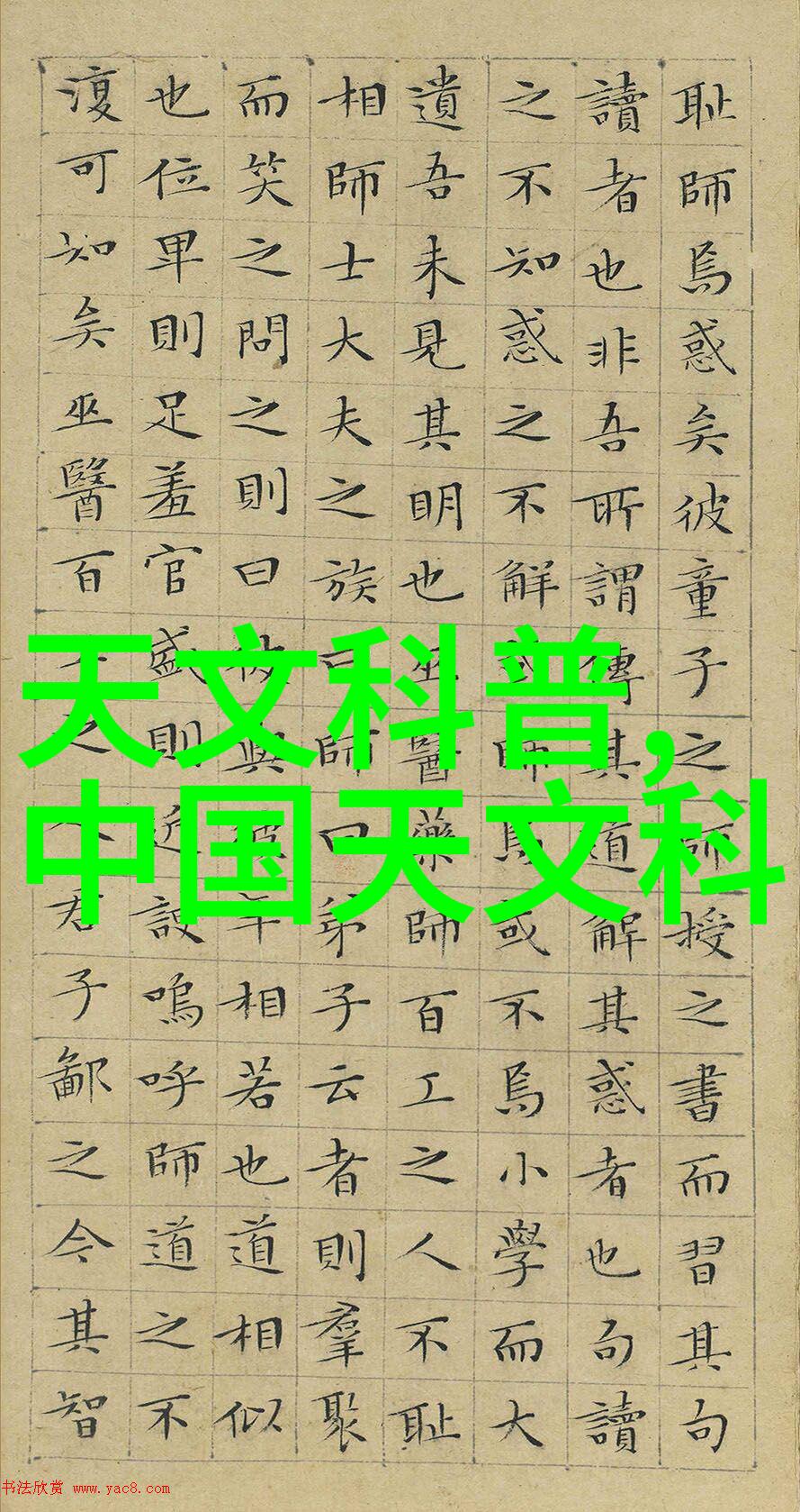 每一帧都是故事一通电话开启新篇章  北京相机配件商店预约流程详解