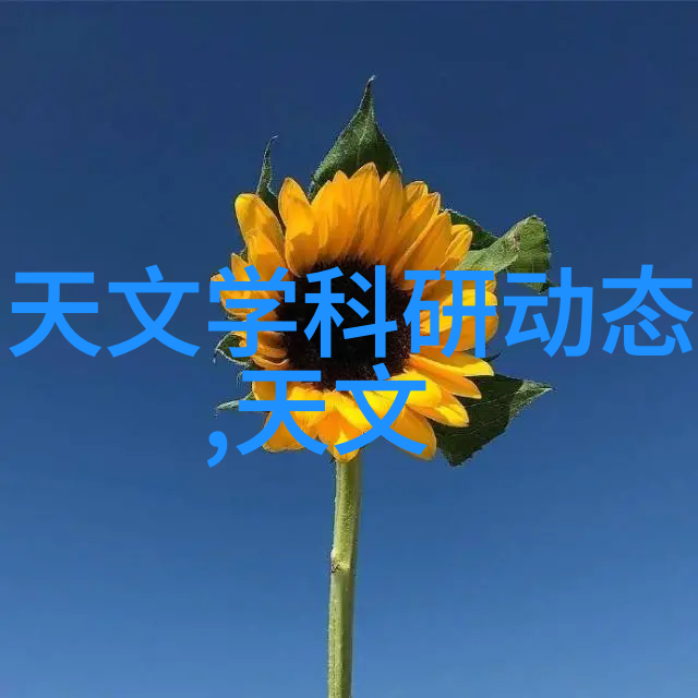 卫生间怎么装我是怎样让我的小卫生间变得既实用又时尚的