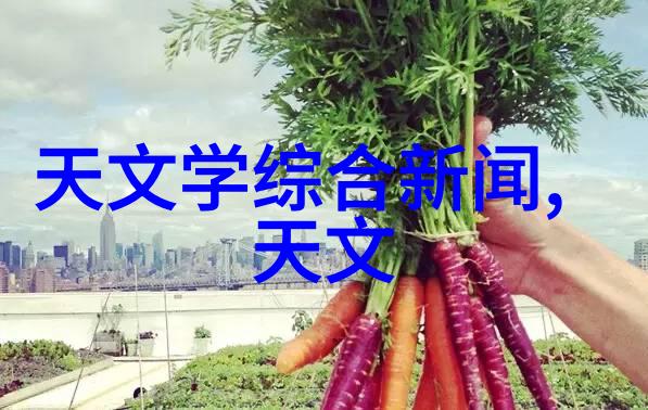 临沂装修风尚追求个性化与舒适生活空间的新趋势