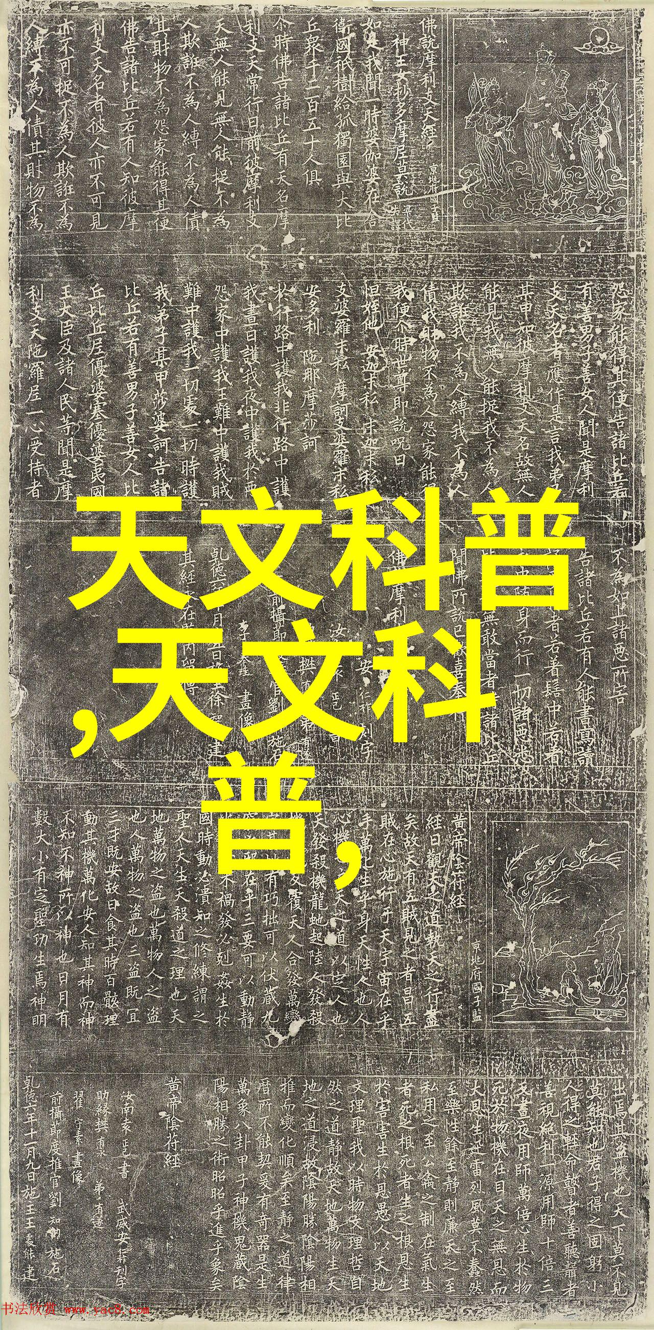 家庭厨房必备的10件电器我家里的这些小伙伴怎么也离不开