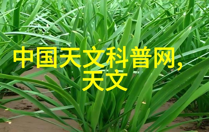 植筋胶技术高效强固剂