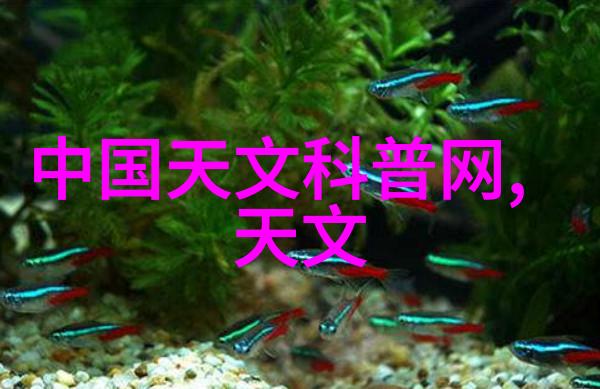 蒸馏水设备 蒸馏水机