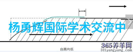 数码电器行业动态科技创新与市场趋势的碰撞