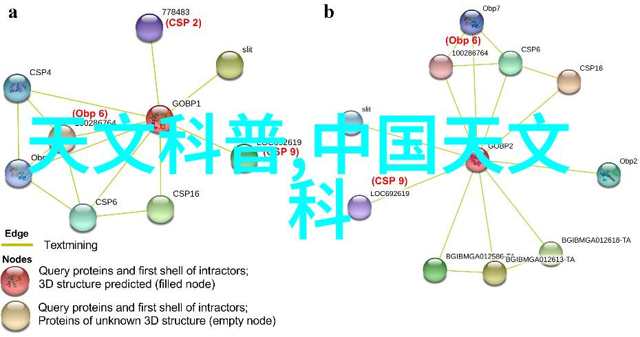 镜头之眼揭秘单反相机的奥秘