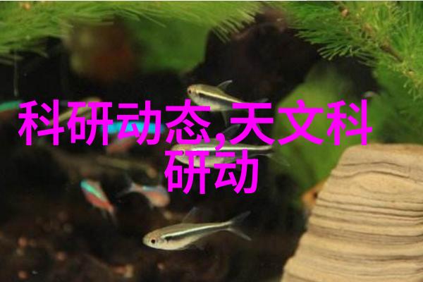 九艺装饰精致家居风格解决方案