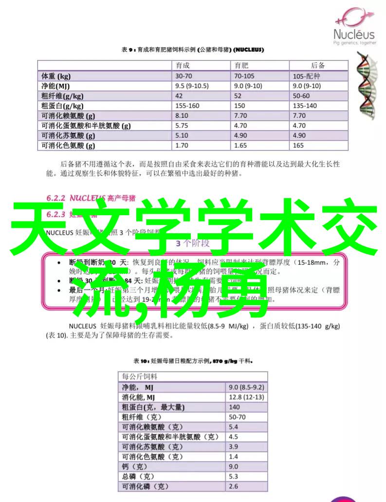 摄影技巧-探秘世界十大摄影网站精彩作品与创意灵感