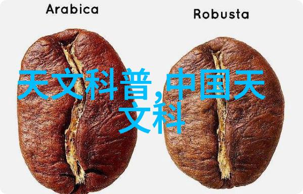 物质变革者探索大型化学反应釜对材料科学的影响