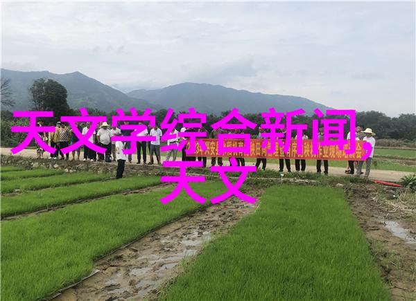 山东财经大学燕山学院我的财富之路