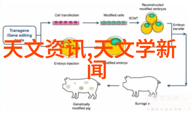 陶瓷艺术的秘密探索填料的奥义