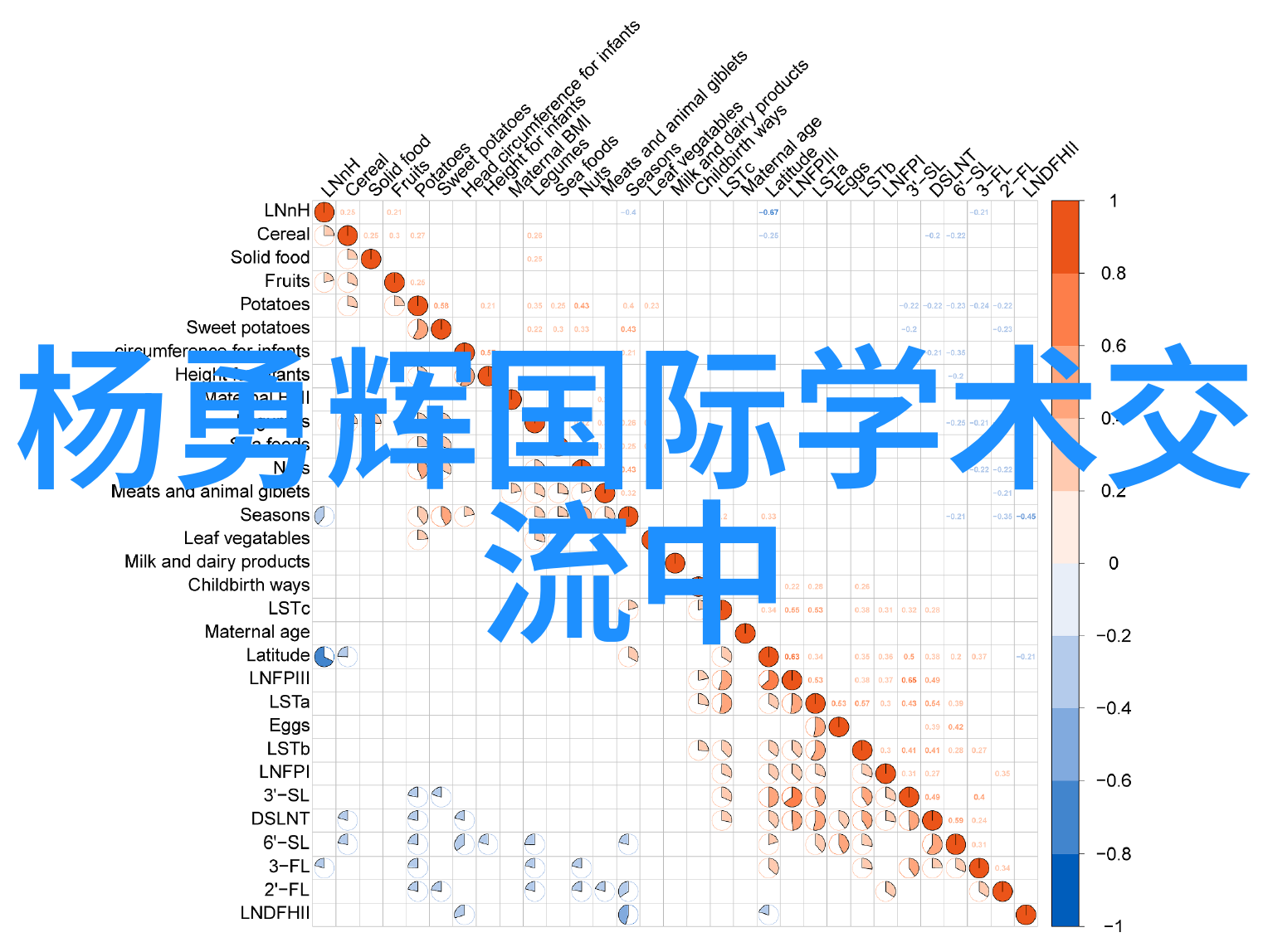 探秘拍摄器材大全揭开每一帧光影的神秘面纱