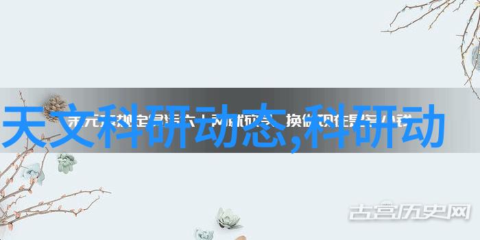 实战摄影技巧全解析从入门到高级拍照艺术教程