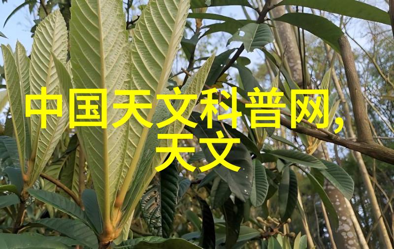 江西财经大学研究生院智慧的薪火传承者