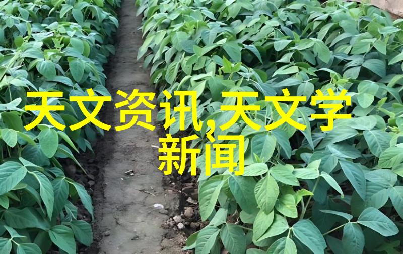 化工包衣机械-高效稳定新一代包衣剂处理技术的革命