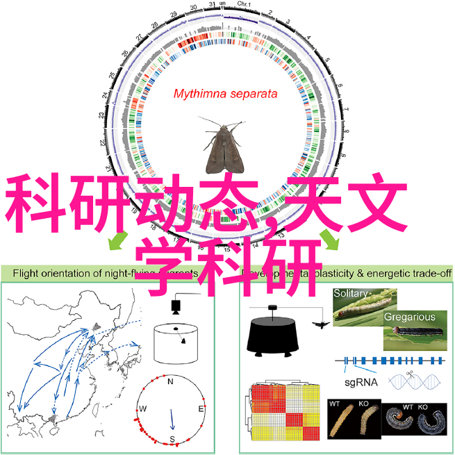 初学者常见问题什么是光圈它在摄影中扮演着怎样的角色