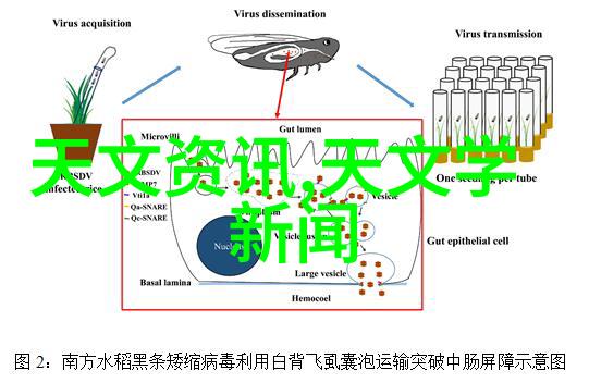 什么是高密度PEHDPE排水管并且它在室内外使用有什么特点