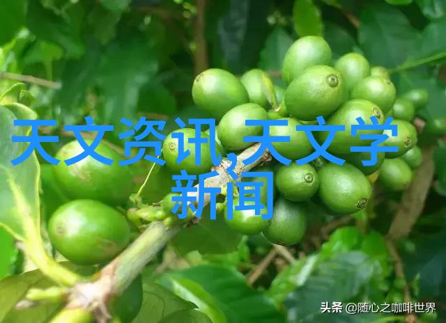 中国摄协章程解读规范会员行为推动摄影艺术发展