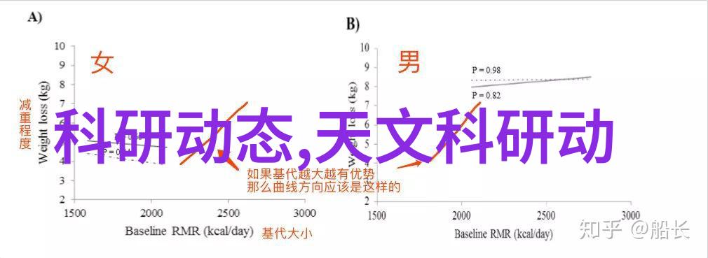 什么是小型家用电器它们在日常生活中的作用是什么