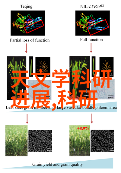 客厅简单装修风格-轻松宜人如何打造温馨舒适的家庭聚集地