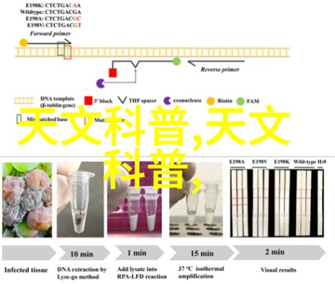 沉沦我是不是也被生活的喧嚣吞没了