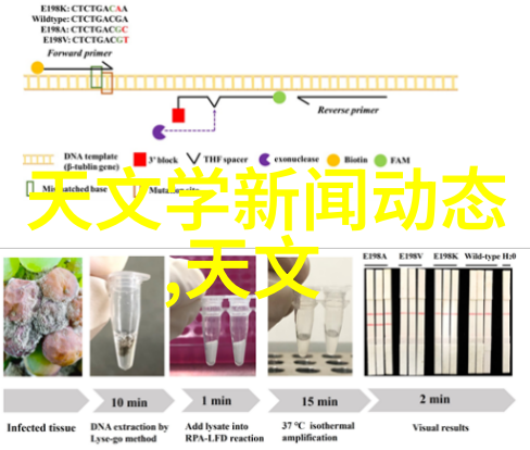 中国最大的专利交易平台提供了哪种YYT 1536-2017非血管内导管滑动性能测试仪