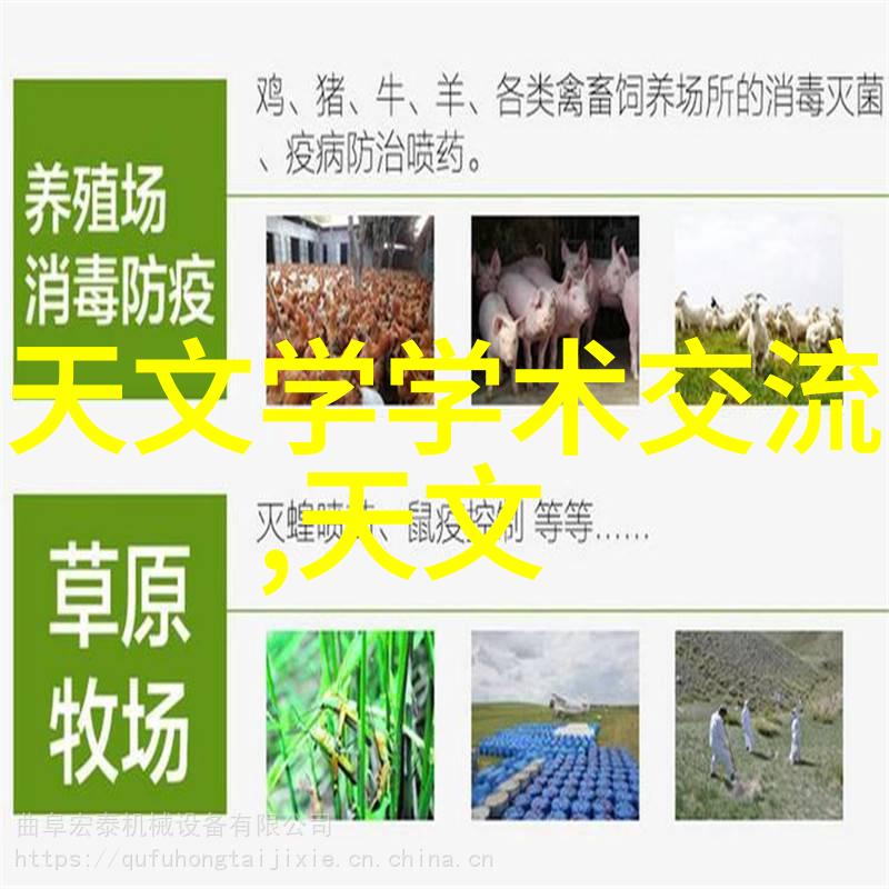 探秘搞机时刻的不干净软件揭露10分钟应用免费下载网站的真相