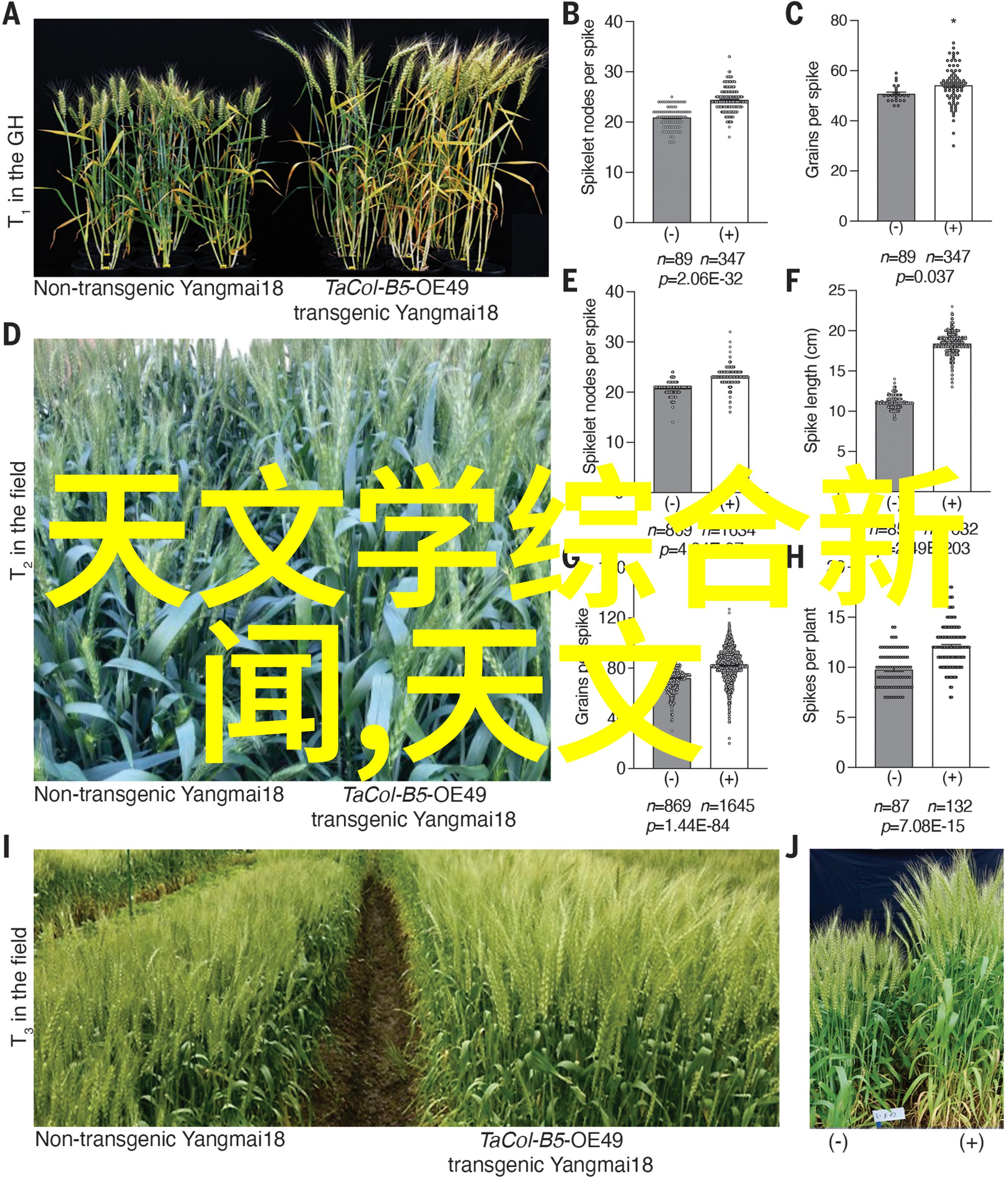 有没有什么简单的手法可以让我的房间看起来更加充满历史感和文化气息